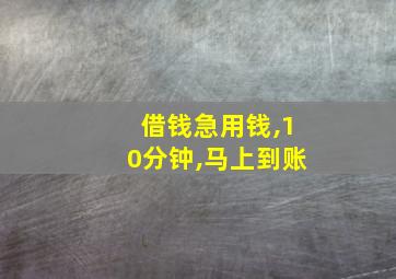 借钱急用钱,10分钟,马上到账