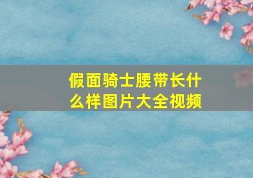 假面骑士腰带长什么样图片大全视频