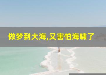 做梦到大海,又害怕海啸了