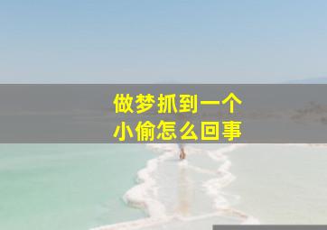 做梦抓到一个小偷怎么回事