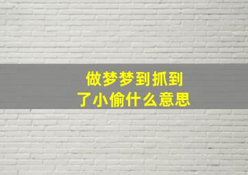 做梦梦到抓到了小偷什么意思