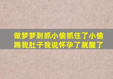 做梦梦到抓小偷抓住了小偷踢我肚子我说怀孕了就醒了