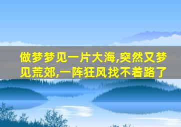 做梦梦见一片大海,突然又梦见荒郊,一阵狂风找不着路了