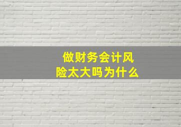 做财务会计风险太大吗为什么