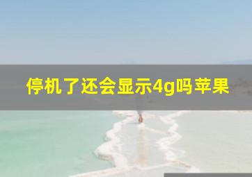 停机了还会显示4g吗苹果