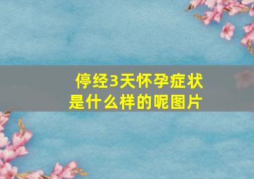 停经3天怀孕症状是什么样的呢图片