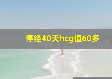 停经40天hcg值60多