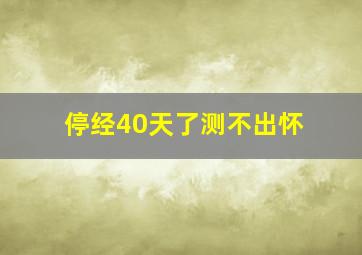 停经40天了测不出怀