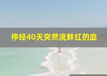 停经40天突然流鲜红的血