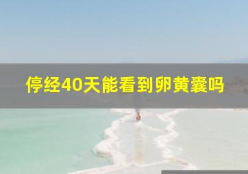 停经40天能看到卵黄囊吗