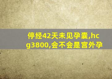 停经42天未见孕囊,hcg3800,会不会是宫外孕