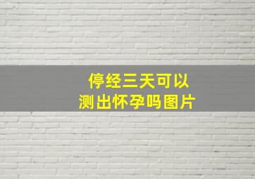 停经三天可以测出怀孕吗图片