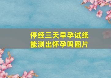 停经三天早孕试纸能测出怀孕吗图片