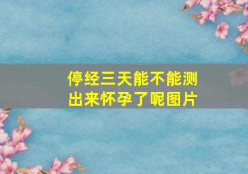 停经三天能不能测出来怀孕了呢图片