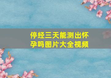 停经三天能测出怀孕吗图片大全视频