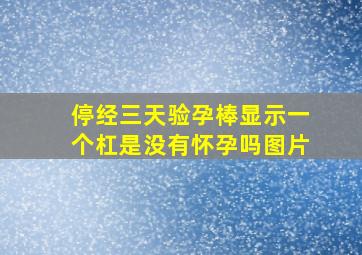 停经三天验孕棒显示一个杠是没有怀孕吗图片