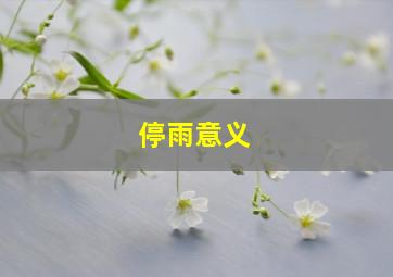 停雨意义