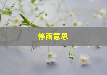 停雨意思