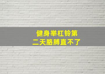 健身举杠铃第二天胳膊直不了