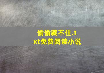 偷偷藏不住.txt免费阅读小说