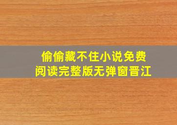 偷偷藏不住小说免费阅读完整版无弹窗晋江