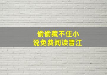 偷偷藏不住小说免费阅读晋江