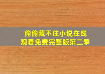 偷偷藏不住小说在线观看免费完整版第二季