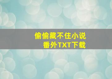 偷偷藏不住小说番外TXT下载