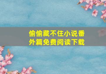 偷偷藏不住小说番外篇免费阅读下载