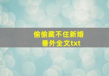 偷偷藏不住新婚番外全文txt