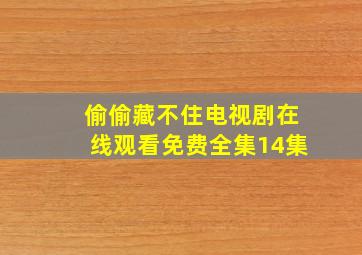 偷偷藏不住电视剧在线观看免费全集14集