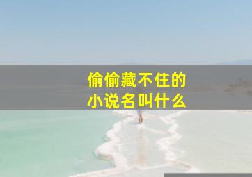 偷偷藏不住的小说名叫什么