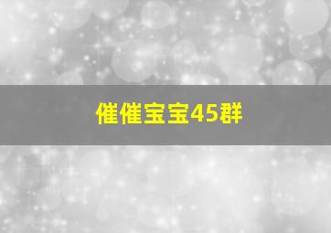 催催宝宝45群