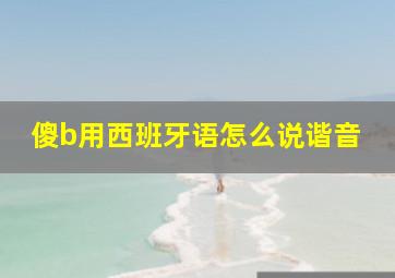 傻b用西班牙语怎么说谐音