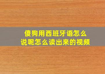 傻狗用西班牙语怎么说呢怎么读出来的视频