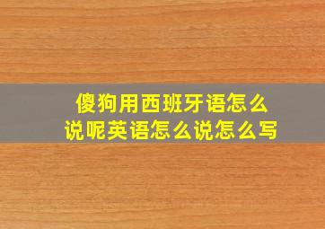 傻狗用西班牙语怎么说呢英语怎么说怎么写