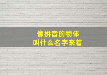 像拼音的物体叫什么名字来着