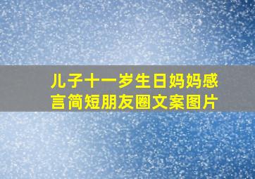 儿子十一岁生日妈妈感言简短朋友圈文案图片