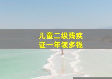 儿童二级残疾证一年领多钱