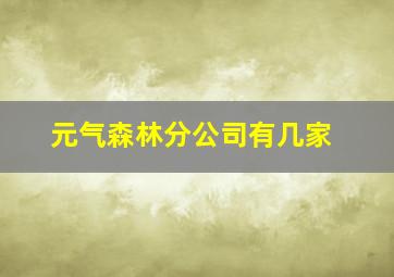 元气森林分公司有几家