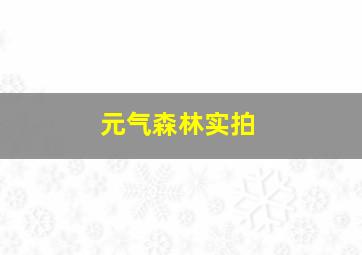 元气森林实拍