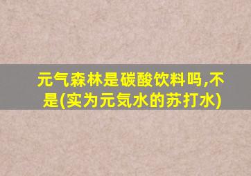 元气森林是碳酸饮料吗,不是(实为元気水的苏打水)