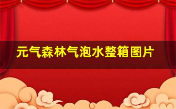 元气森林气泡水整箱图片