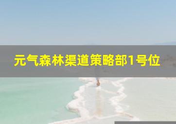 元气森林渠道策略部1号位