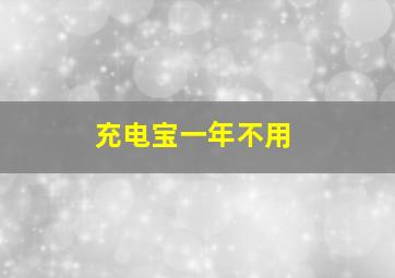 充电宝一年不用