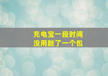 充电宝一段时间没用鼓了一个包