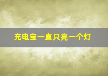 充电宝一直只亮一个灯