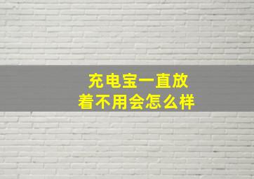 充电宝一直放着不用会怎么样