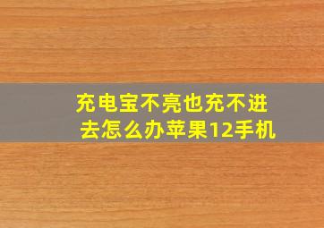 充电宝不亮也充不进去怎么办苹果12手机