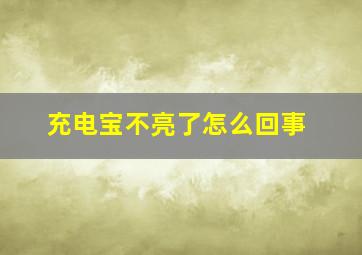 充电宝不亮了怎么回事